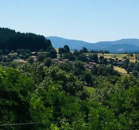 ベッド・アンド・ブレックファスト Au Vieux Logis 63 3*