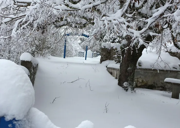 Au Vieux Logis 63 3*