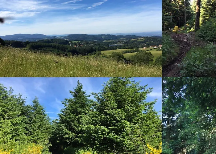 Frühstückspension Au Vieux Logis 63