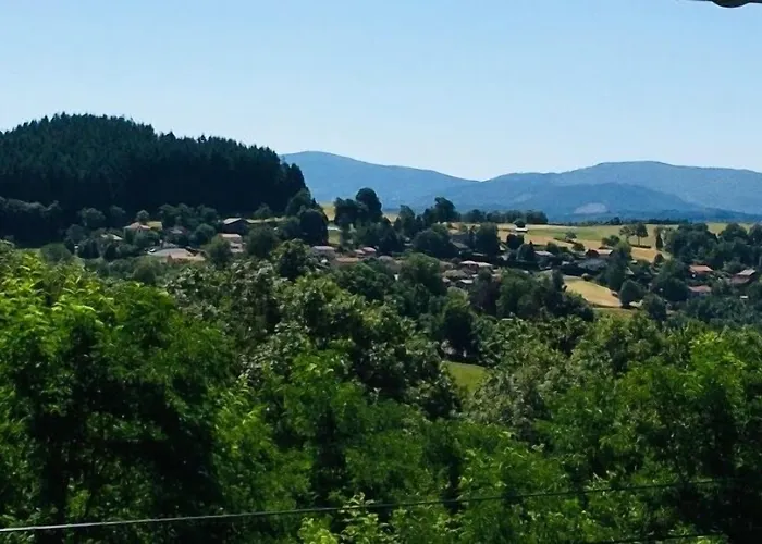 Au Vieux Logis 63 3*